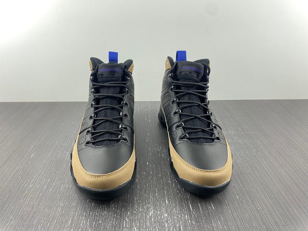 Air Jordan 9 Olive Concord CT8019-034